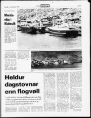 Síða 9