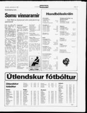 Síða 13