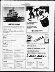 Síða 19