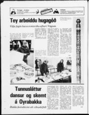 Síða 24
