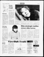 Síða 22