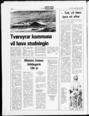 Síða 2