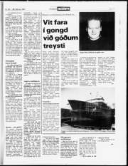 Síða 17