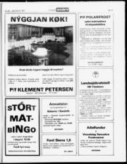 Síða 19