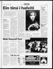 Síða 23