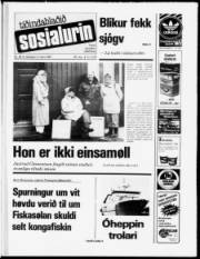 Síða 1