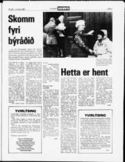 Síða 3