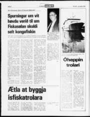 Síða 4