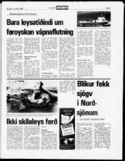 Síða 5