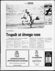 Síða 12