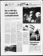 Síða 20