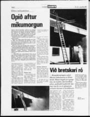 Síða 2