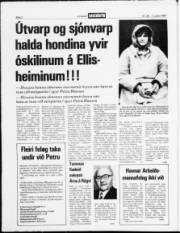 Síða 2