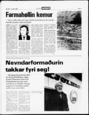 Síða 3
