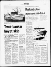 Síða 5