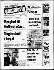 Síða 1