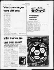 Síða 5