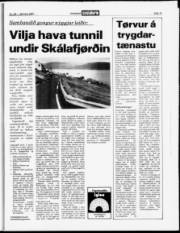 Síða 14