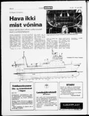 Síða 17