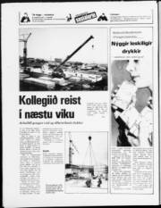 Síða 23