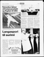 Síða 3