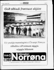 Síða 19