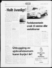 Síða 2