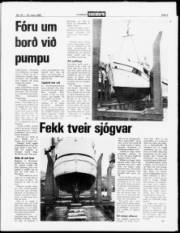 Síða 3