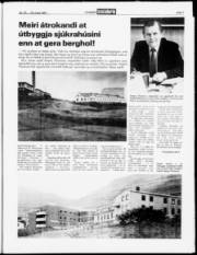 Síða 7