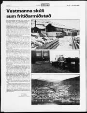 Síða 10