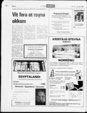 Síða 20