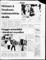 Síða 23