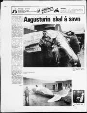 Síða 24