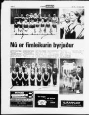 Síða 12