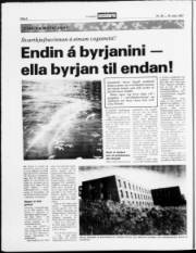 Síða 8