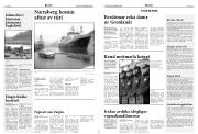 Síða 6