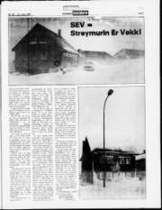 Síða 7