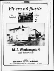 Síða 17