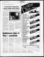 Síða 21