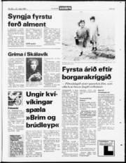 Síða 23