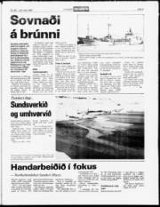 Síða 5
