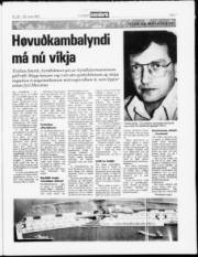 Síða 7