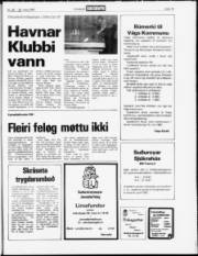 Síða 15