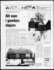 Síða 20