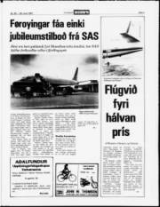 Síða 3