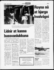 Síða 5