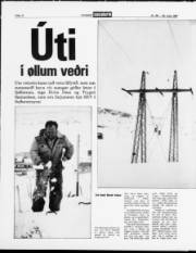 Síða 12