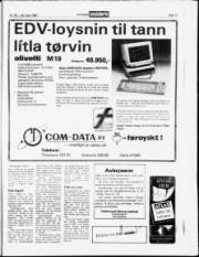 Síða 17