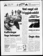 Síða 24