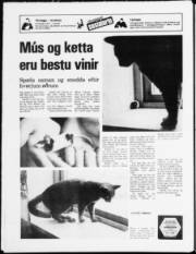 Síða 24